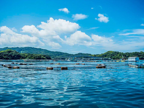 海辺の養殖場